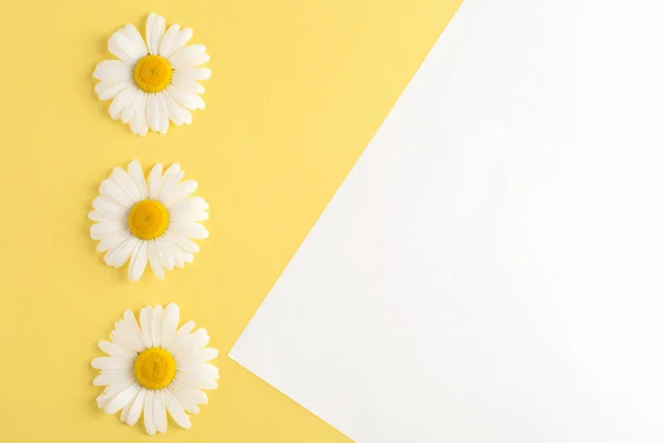 Download Yellow Flowers Frame Mockup White Background Yellow Triangle Stock Photo C Vika Bta Com Ua 279487486 PSD Mockup Templates