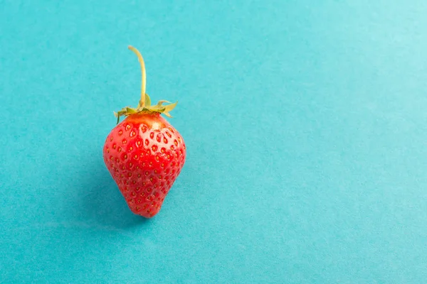 Strawberry creative pattern with copy space. Ripe red berry on blue background