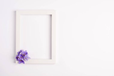 Mor çiçekler, beyaz arka plan üzerinde fotoğraf çerçevesi. Üst görünüm, kopyalama alanı. Düz yatıyordu.