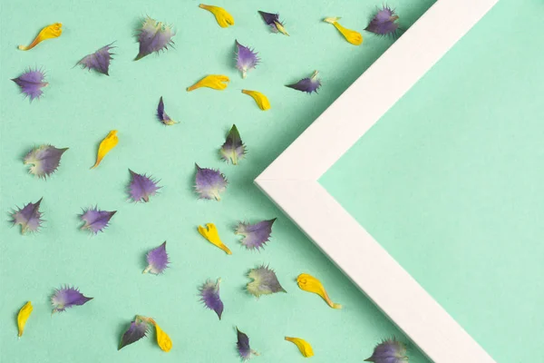 Yellow and violet petals and triangle frame on a green background