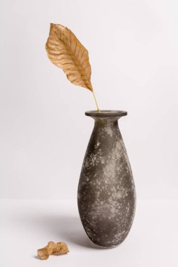 Beyaz arka planda, koyu bir vazoda kuru sonbahar yaprakları.