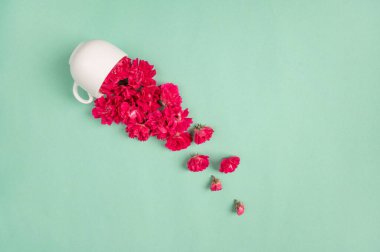 Renkli karanfil buketi. güzel çiçek arkaplanı