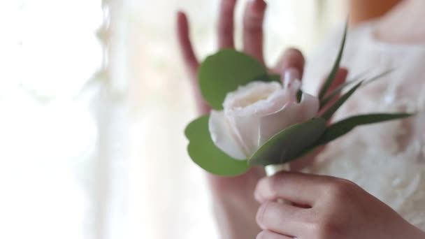 Braut hält rosa Rose boutonniere Blume — Stockvideo