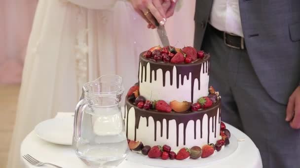 Закройте руки, разрезая свадебный торт на свадьбе — стоковое видео