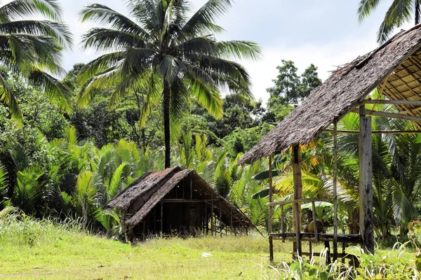 Tradicional Casita Bambú Selva Filipinas Palawan —  Fotos de Stock