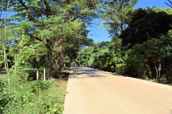 Köy yolunda ormanın içinden. Filipinler. Palawan.