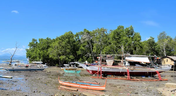 Fischerboote Ufer Palawan Philippinen — Stockfoto