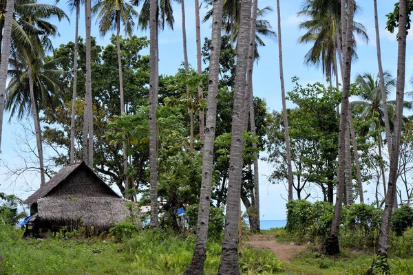 Rumah Bambu Kecil Tradisional Hutan Filipina Palawan — Stok Foto