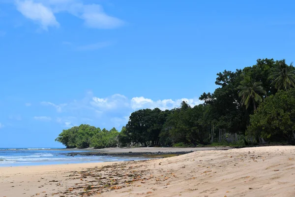 Praias Muito Bonitas Ilha Palawan Filipinas — Fotografia de Stock