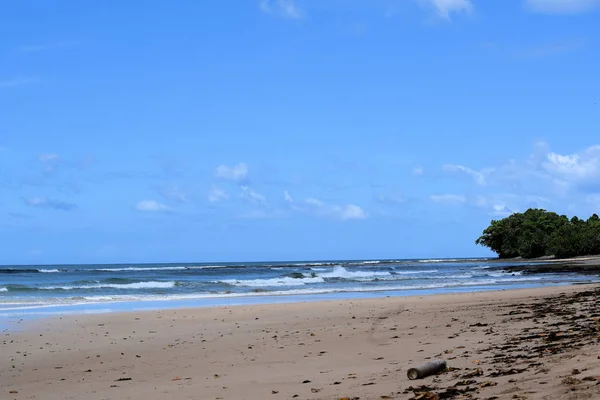 Palawan Adası çok güzel plajları. Filipinler.