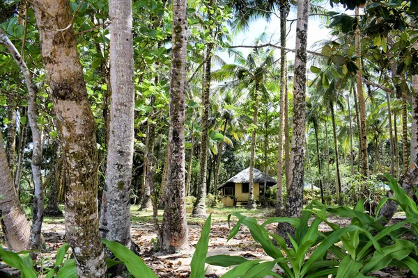 Casa Bambu Tradicional Selva Filipinas Palawan — Fotografia de Stock