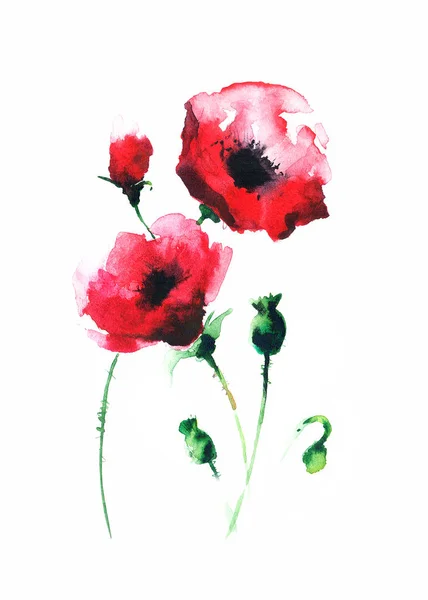 Painted watercolor poppies — Stock Photo © bioraven #5377049