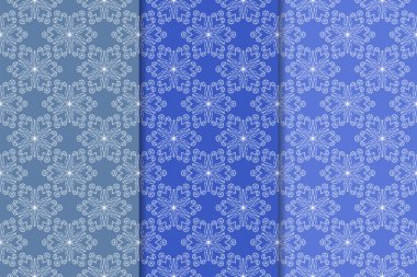 Mavi çiçekli süsler. Dikey Dikişsiz desen seti