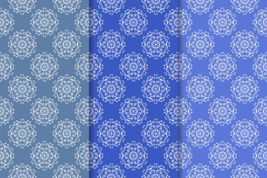 Çiçek süsler kümesi. Mavi dikey Dikişsiz desen. Duvar kağıdı arka plan