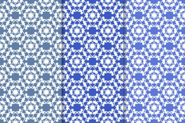 Çiçek süsler kümesi. Mavi dikey Dikişsiz desen. Duvar kağıdı arka plan