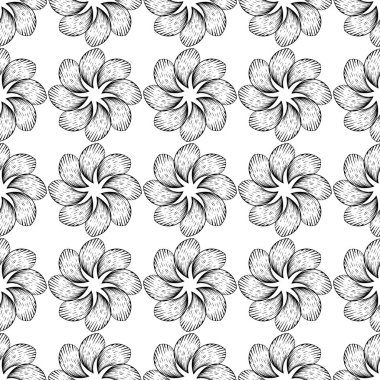 Beyaz arka planda siyah çiçek süsleme. Tekstil ve duvar kağıtları için seamless modeli