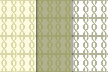 Web, Tekstil ve duvar kağıtları için dikey Dikişsiz desen zeytin yeşil ve beyaz geometrik dizi