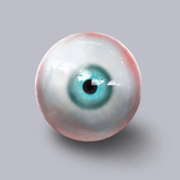 Anatomy Human Eyeball Gray Background — Stock Photo, Image