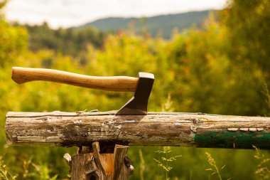 Close-up of an axe hammered into the trunk of a tree, set against a lush forest background. The image evokes themes of wilderness survival, bushcraft, and eco-conscious outdoor activities