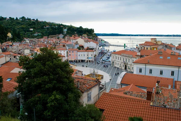 Pohled Střechy Kolem Náměstí Tartini Piran Jaderském Pobřeží Slovinska — Stock fotografie