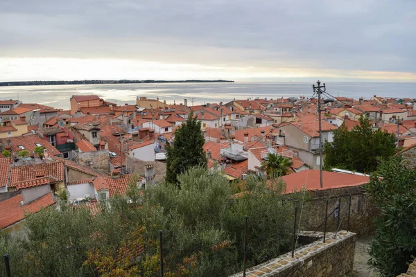 Çatıları Piran Adriyatik şehir geç öğleden sonra Slovenya