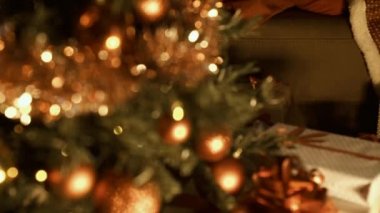 Kanepede evde Noel ağacının yanındaki uyuyan sevimli çocuk Noel arifesinde Noel Baba'yı bekliyor: çocukluk ve tatil kavramı