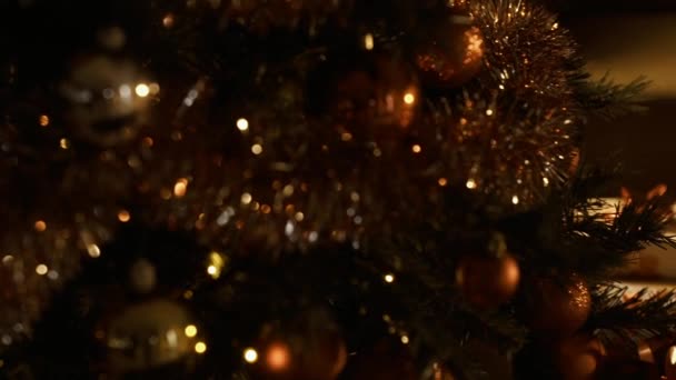 男孩在家里收到美丽的圣诞礼物 他正在带一个红色丝带的礼物 在前景的圣诞树 — 图库视频影像