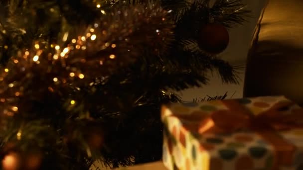 Netter Junge Der Hause Auf Dem Sofa Neben Dem Weihnachtsbaum — Stockvideo