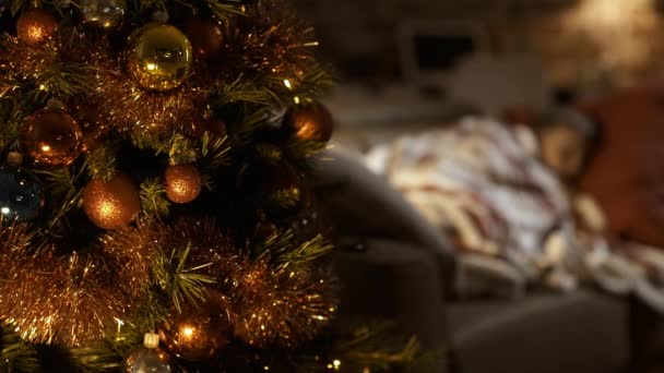 Söt Pojke Sova Soffan Hemma Bredvid Granen Han Väntar Santa — Stockvideo