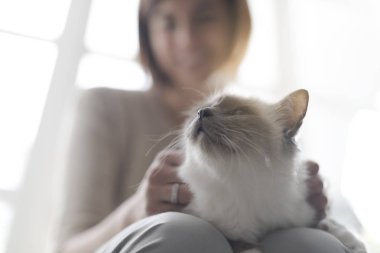 Güzel bir kedi onun kucak, Evcil hayvan ve yaşam tarzı kavramı üzerinde tutan kadın