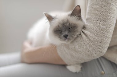 Tur ve sarılma, Evcil hayvan ve yaşam tarzı kavramı üzerinde bir güzel birman kedisi tutan kadın