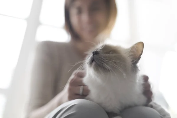 Woman Holding Beautiful Cat Her Lap Pets Lifestyle Concept — Stockfoto