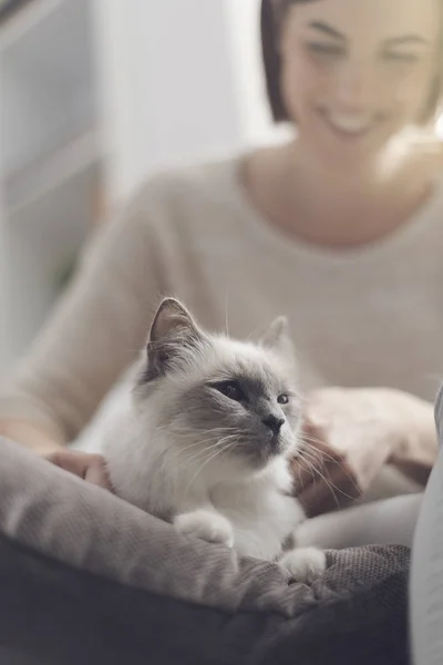 Ung Kvinna Petting Hennes Vackra Katt Hemma Hon Ligger Kudde — Stockfoto