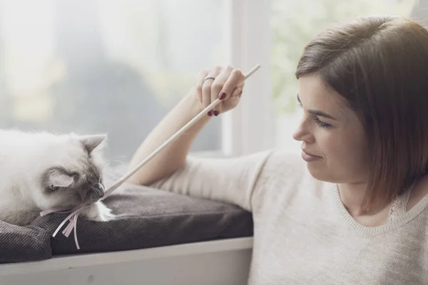 Woman Playing Her Cat Home Next Window Pets Lifestyle Concept — Φωτογραφία Αρχείου
