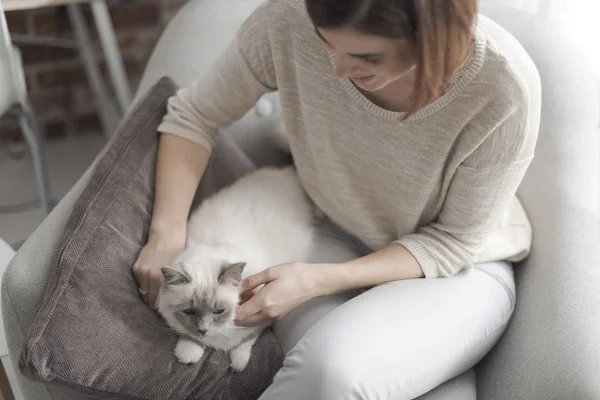 Young Happy Woman Sitting Armchair Living Room Petting Her Beautiful Stock Photo