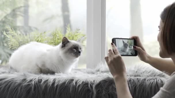 Mujer Feliz Tomando Fotos Hermoso Gato Casa Usando Teléfono Inteligente — Vídeos de Stock