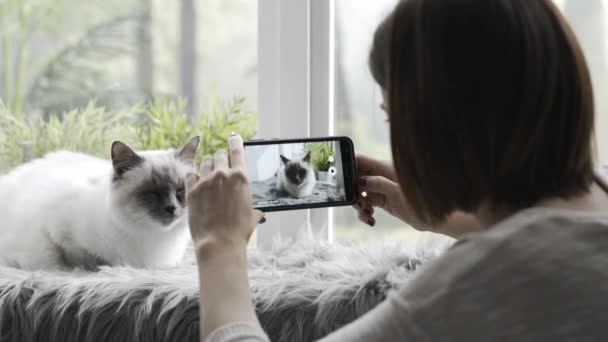 Lycklig Kvinna Skytte Video Hennes Söta Katt Hemma Med Hjälp — Stockvideo