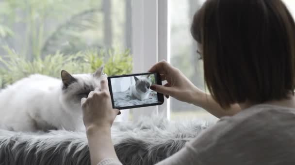 Mujer Feliz Tomando Fotos Hermoso Gato Casa Usando Teléfono Inteligente — Vídeos de Stock