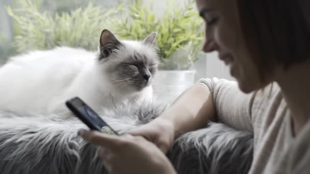 Jovem Feliz Conectando Conversando Com Seu Smartphone Casa Seu Gato — Vídeo de Stock