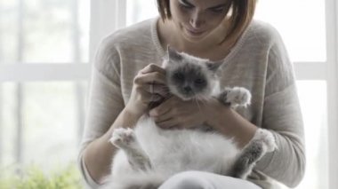 Bir pencere yanında oturan genç mutlu kadın o sevimli kedi onun kucağına holding ve karnı sürtünme