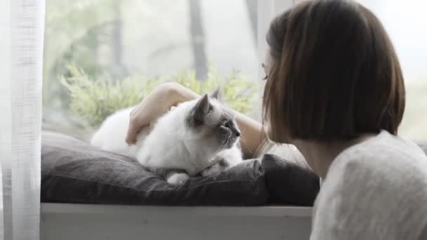 妇女抚摸她美丽的猫在家里旁边的窗口 宠物和生活方式的概念 — 图库视频影像