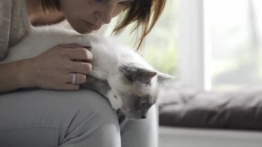 Kadın ona kucak, Evcil hayvan ve yaşam tarzı kavramı üzerinde güzel bir kedi sarılma