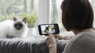 Mutlu bir kadın onu güzel kedi evde izlerken resimlerini, o görüntüleri Galeri kaydırma