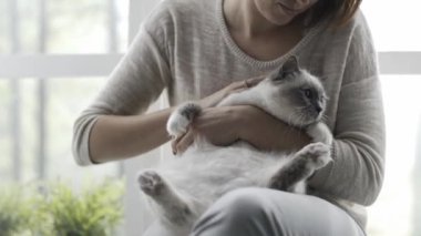 Bir pencere yanında oturan genç mutlu kadın o sevimli kedi onun kucağına holding ve karnı sürtünme