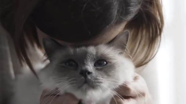 Vrouw Holding Haar Mooie Blauwe Ogen Kat Haar Ronden Aaien — Stockvideo