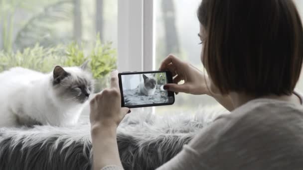 Mujer Feliz Tomando Fotos Hermoso Gato Casa Usando Teléfono Inteligente — Vídeos de Stock