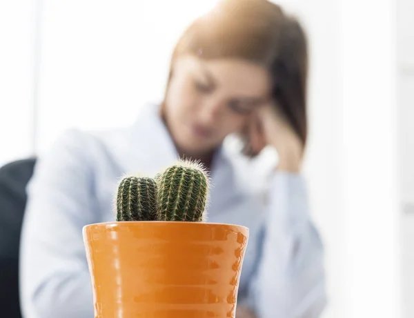 Donna Affari Stanca Che Lavora Ufficio Sente Nervosa Stressata Cactus — Foto Stock