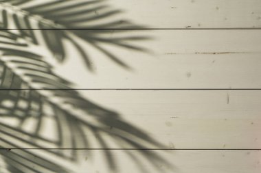 Palmiye yapraklı ahşap sahil güvertesi.