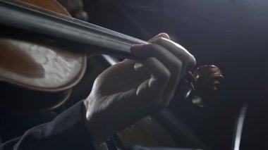 Profesyonel senfonik orkestra sahnede performans sergiliyor