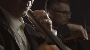 Profesyonel senfonik orkestra sahnede performans sergiliyor
